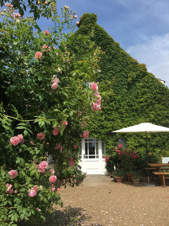 Landhaus Am Deich Cluvenhagen Kültér fotó